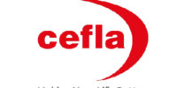celfa celfa